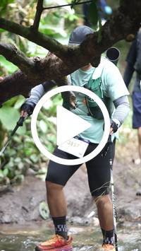 BIB:  <button type="button" onclick="openModal(27825588)" class="btn btn-primary btn-sm float-right" data-toggle="modal" data-target=".modal-high-quality">
                <i class="fa fa-download"></i> Download
                </button>